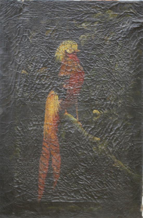 19th century English School, oil on canvas, Golden pheasant perched on a branch, 60 x 40cm, unframed